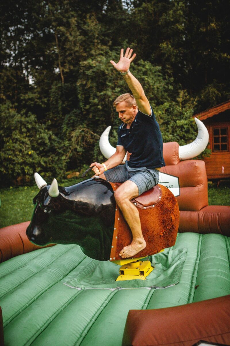 bulius1 Mechaninis bulius