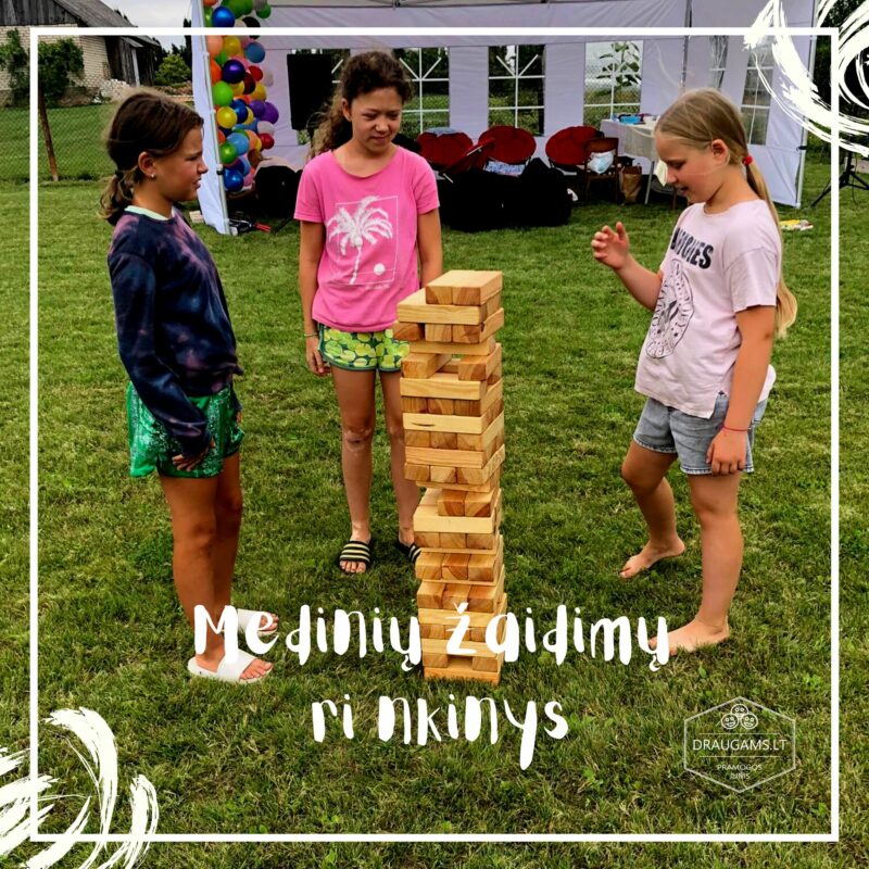 mediniai žaidimai Mergaitės žaidžia jenga